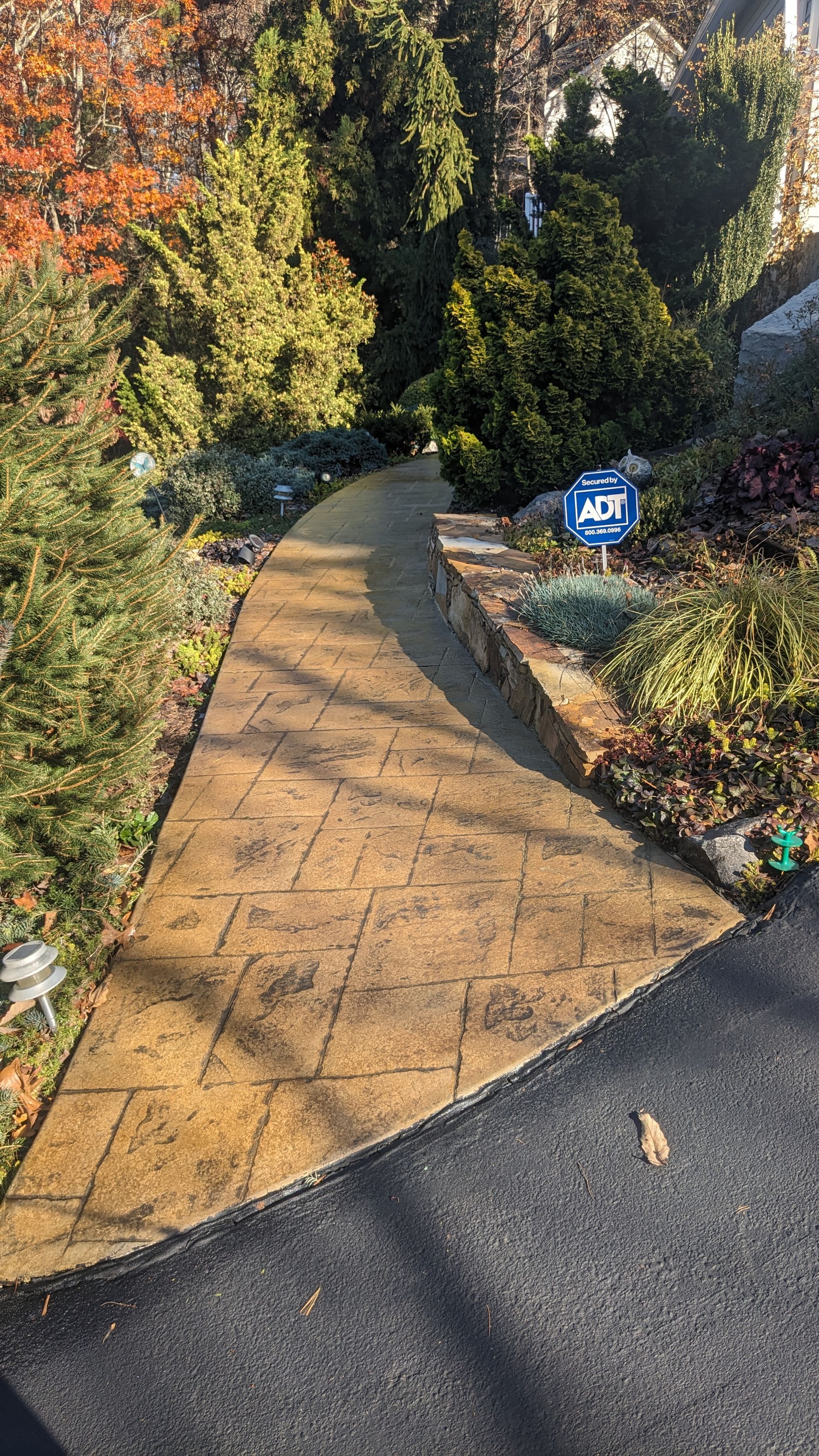 A concrete walkway leading to a house surrounded by trees and bushes.