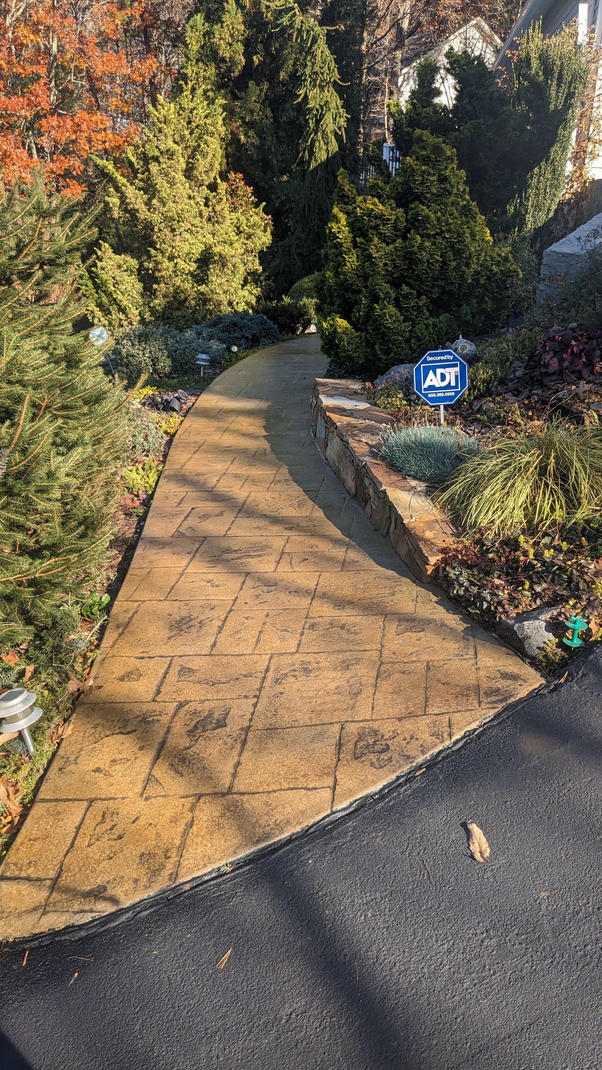 A concrete walkway leading to a garden with trees and bushes.
