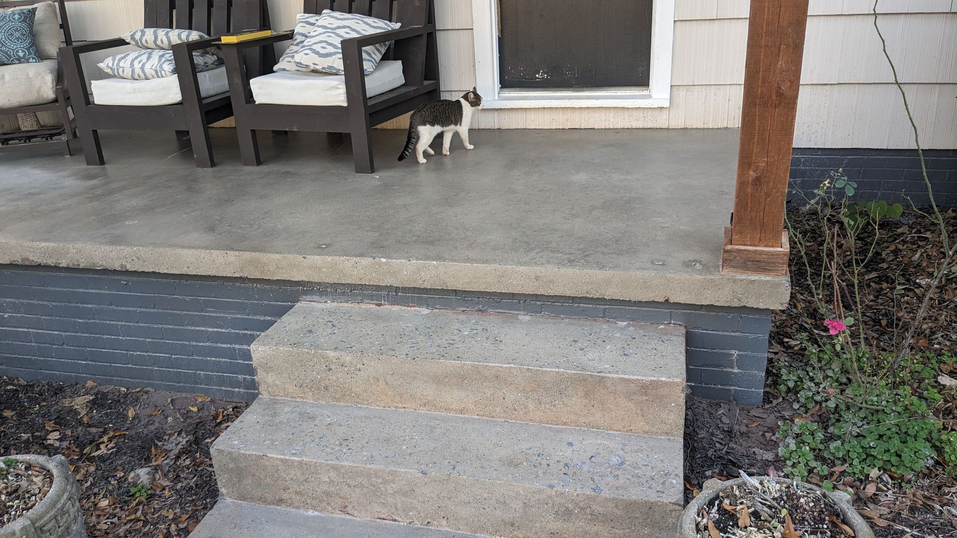 A dog is standing on a porch next to a set of stairs.