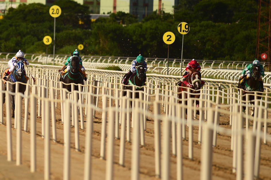 Um grupo de cavalos está correndo em uma pista de corrida.