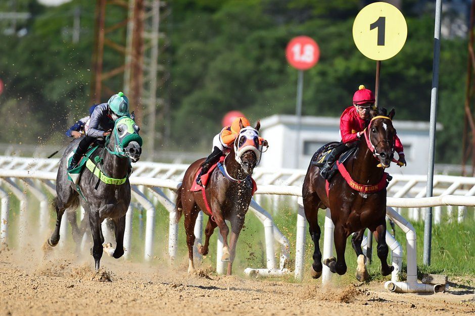 Um grupo de cavalos está correndo em uma pista de terra.