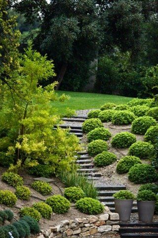 Landscape Installation — Garden with stairs in Palm Harbor, FL