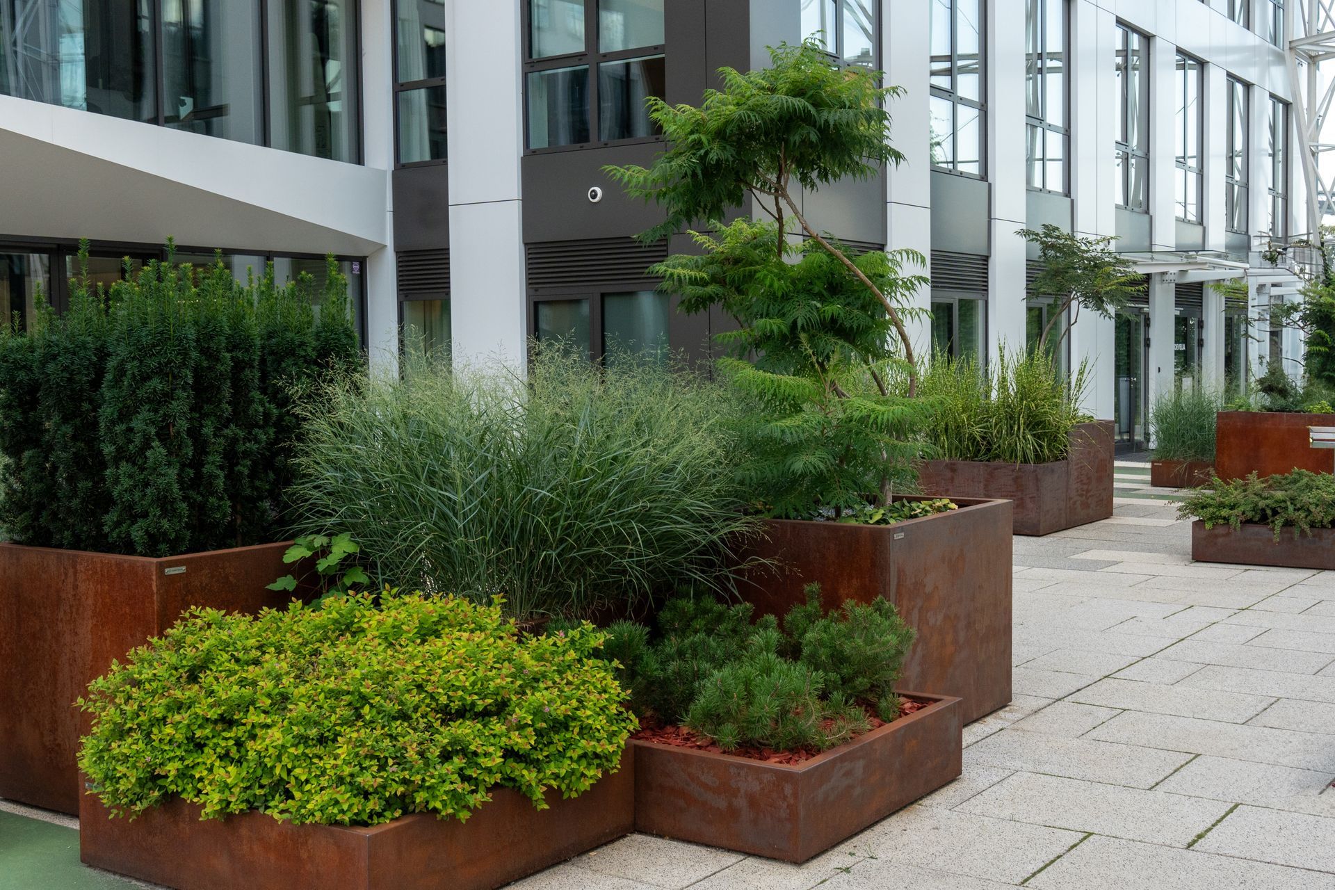 Outdoor courtyard with various plants in rectangular metal planters. Modern building in the background.