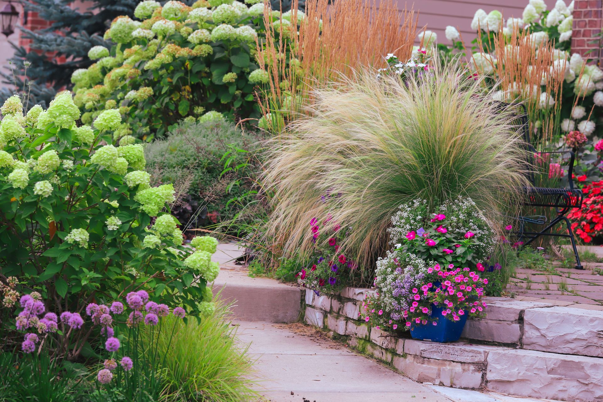 A colorful, lush garden bed with steps leading to a sidewalk. Green and pink flowers abound.