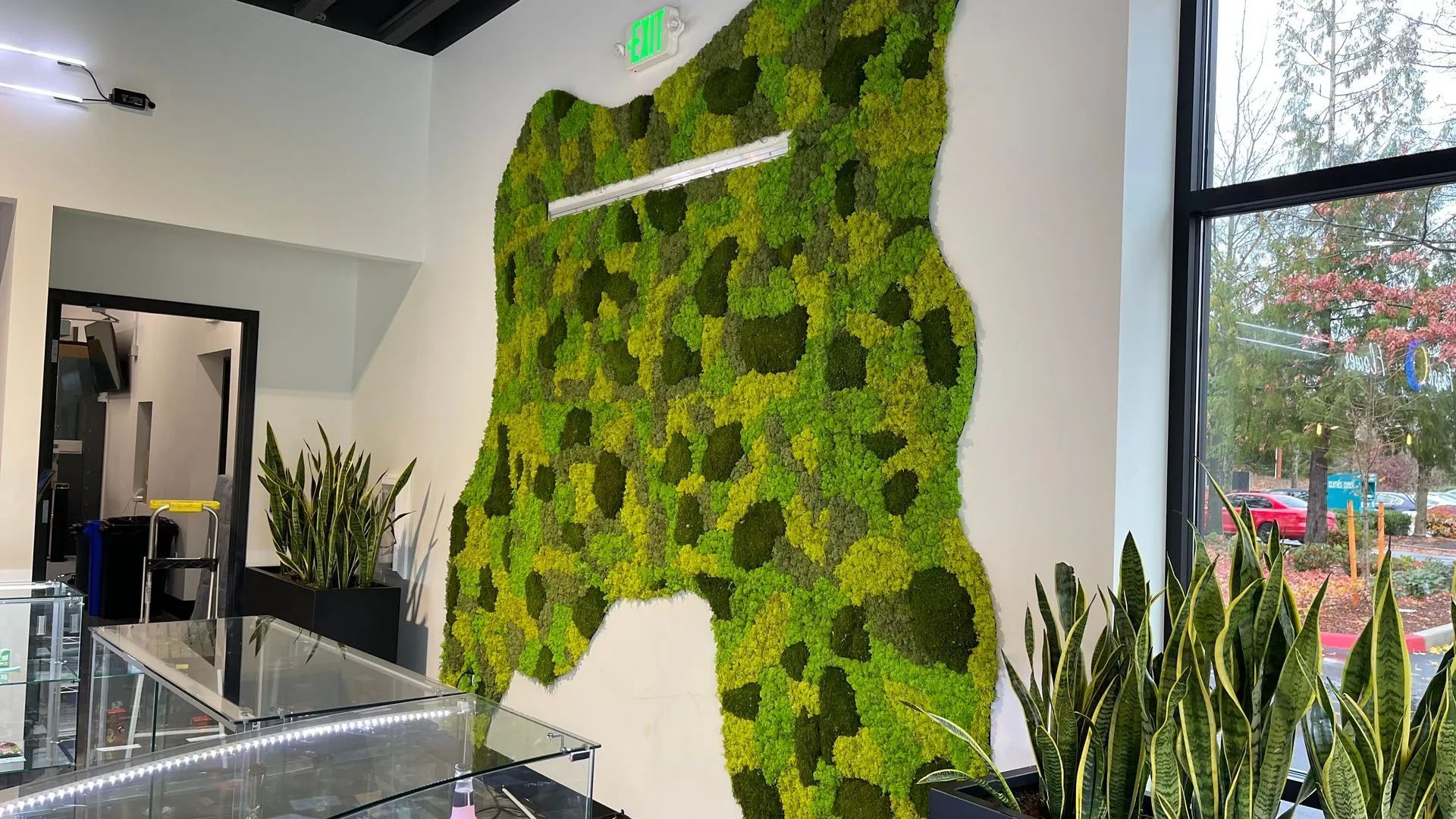 Green moss wall art in a modern interior, with plants and a window.