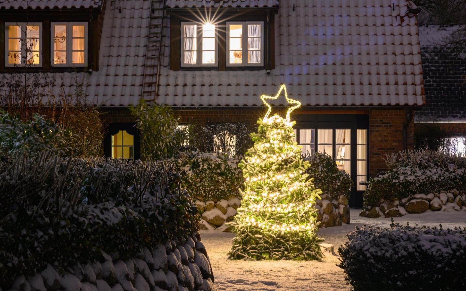 Christmas tree with star topper lit up in front of a snow-covered house at night.