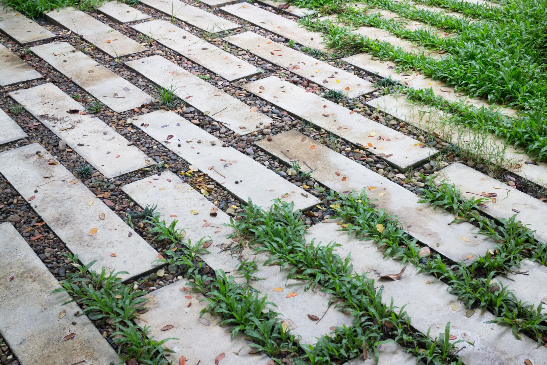 A brick walkway with grass growing between the bricks