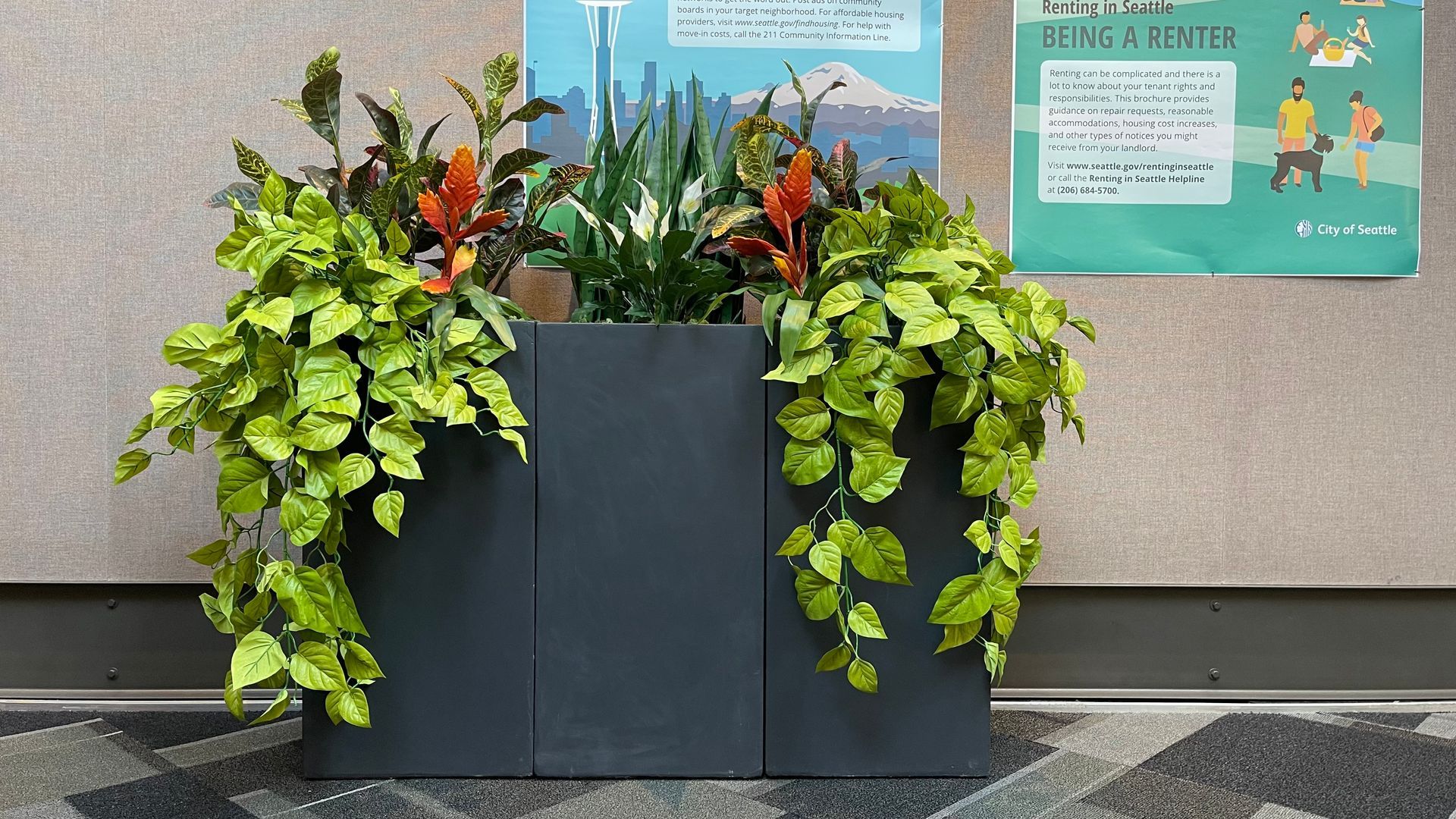 Rectangular planter with overflowing green and orange plants against a gray wall with posters.