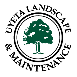 Uyeta Landscape & Maintenance Business Logo