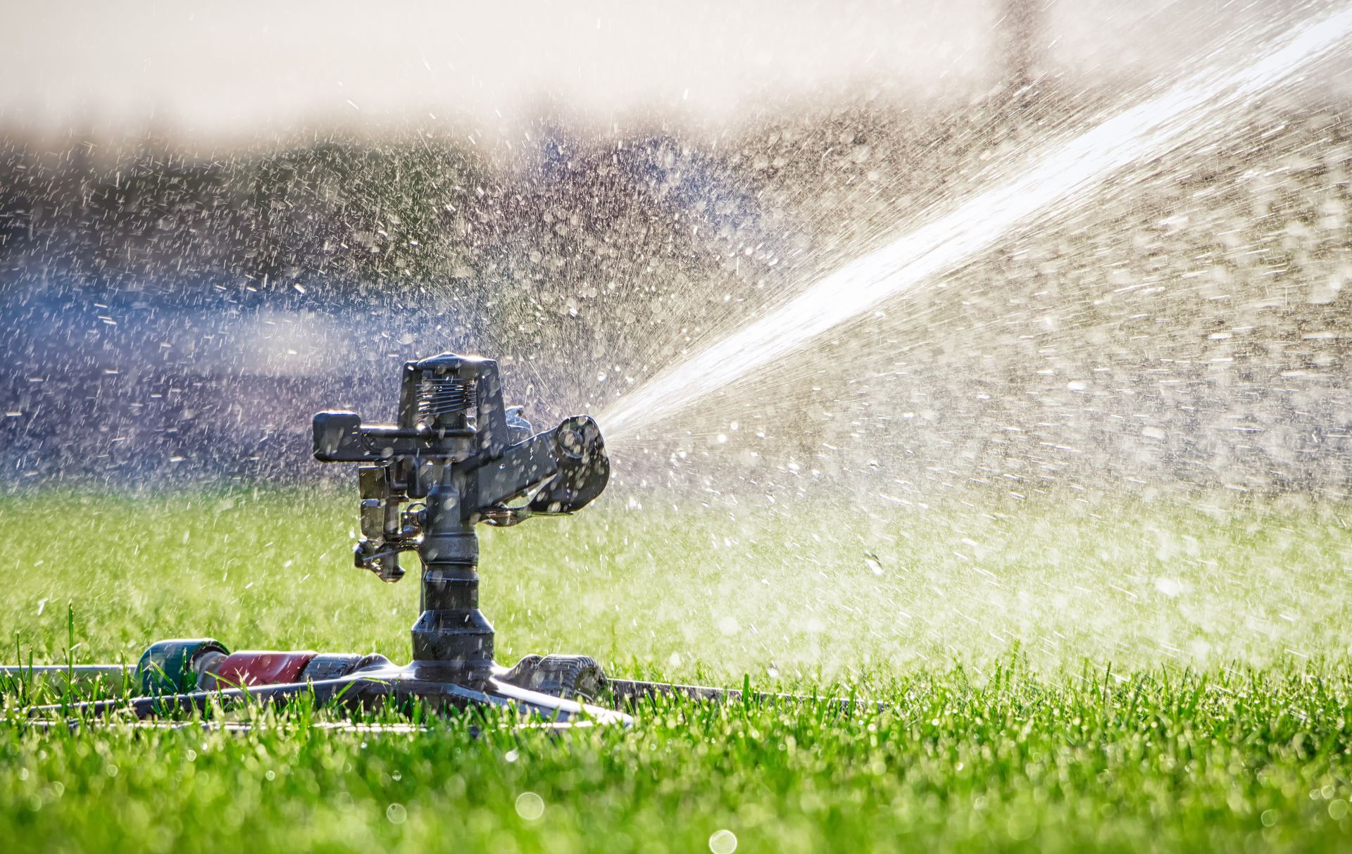Sprinkler spraying water onto green grass on a sunny day.