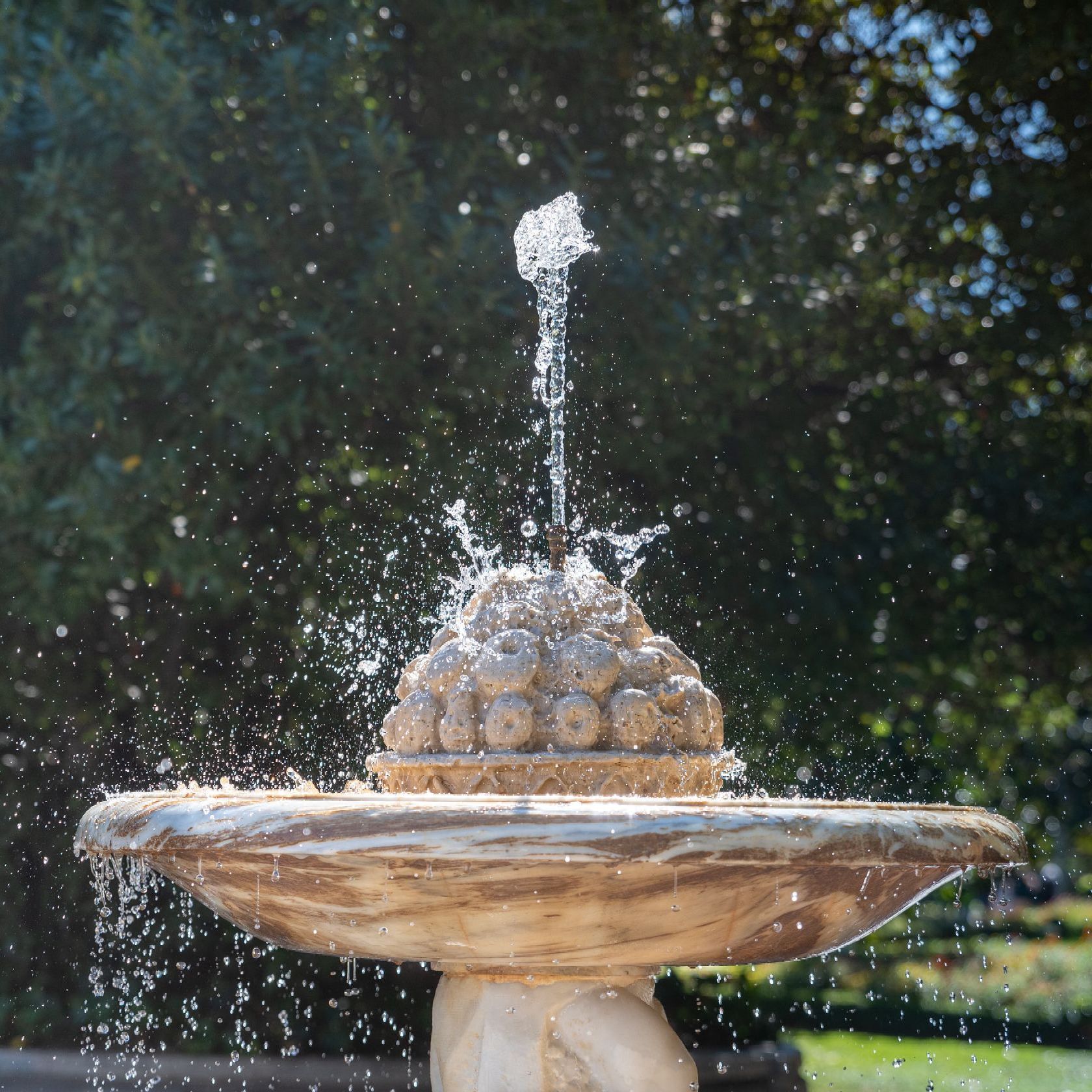 Water Fountain Image