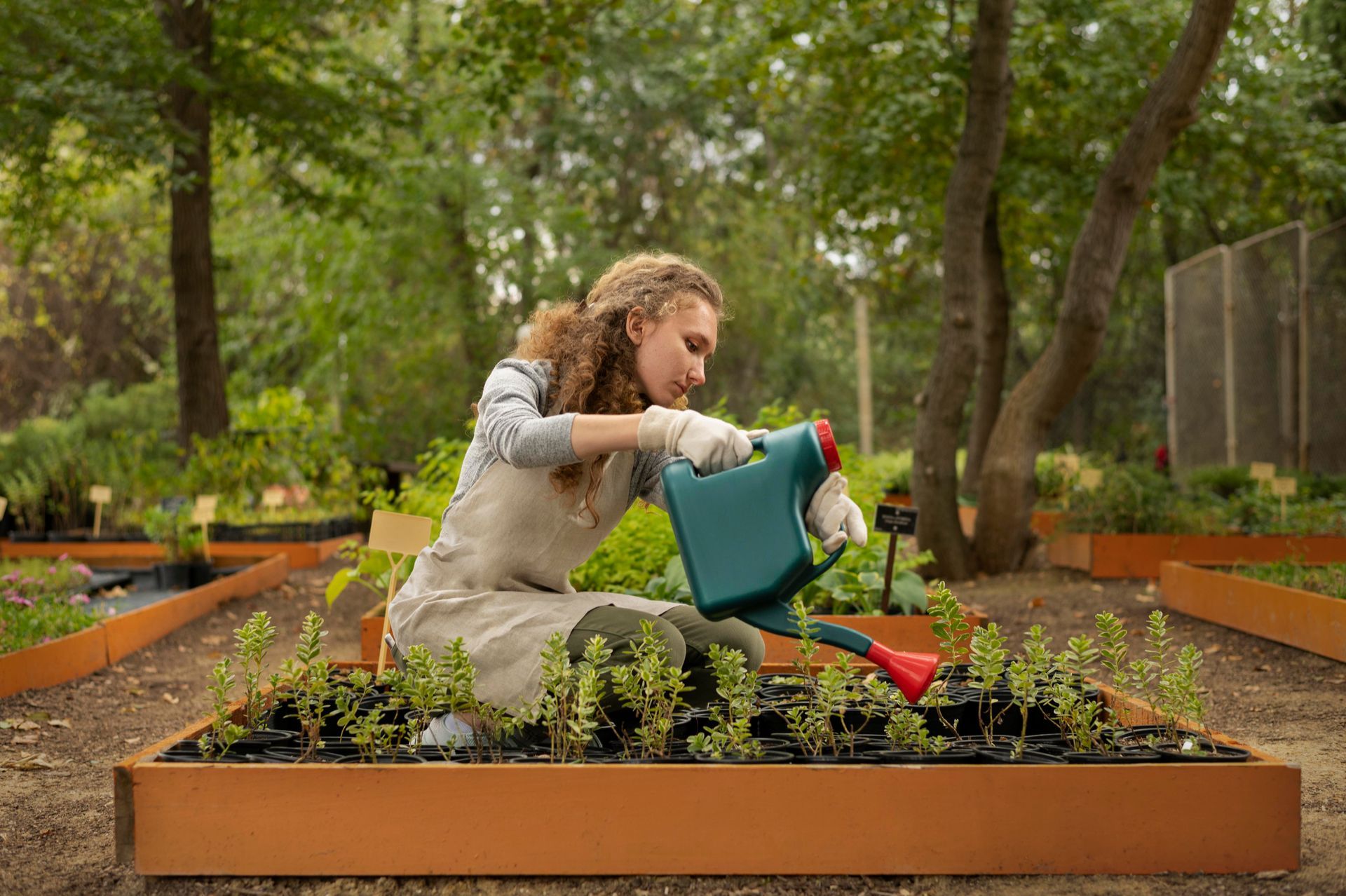 A woman is watering plants in a garden with a watering can.