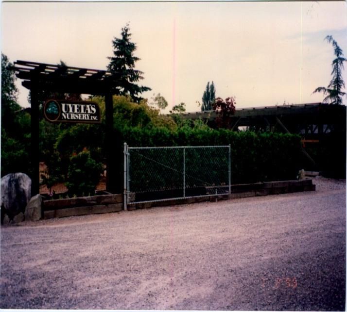 Uyeta Landscape & Maintenance History