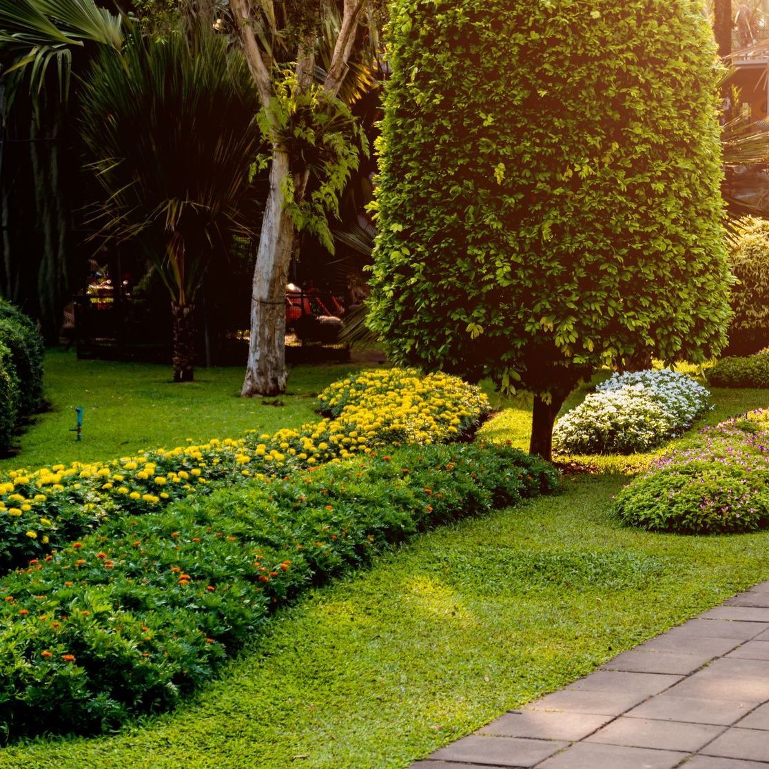 A lush green garden with lots of trees and flowers