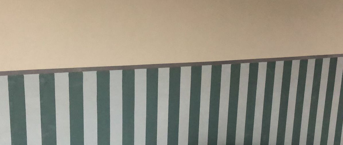 decorazione-righe-verticali-verde