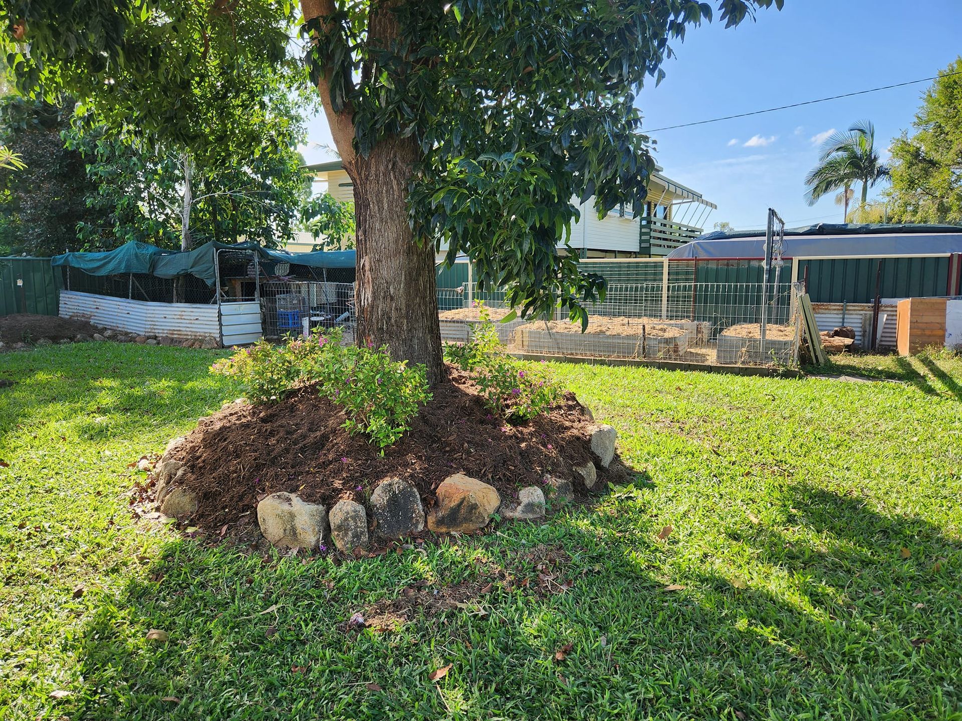 Tree in a Backyard With a Mulch Bed — AGM HIRE NQ in Kirwan, QLD