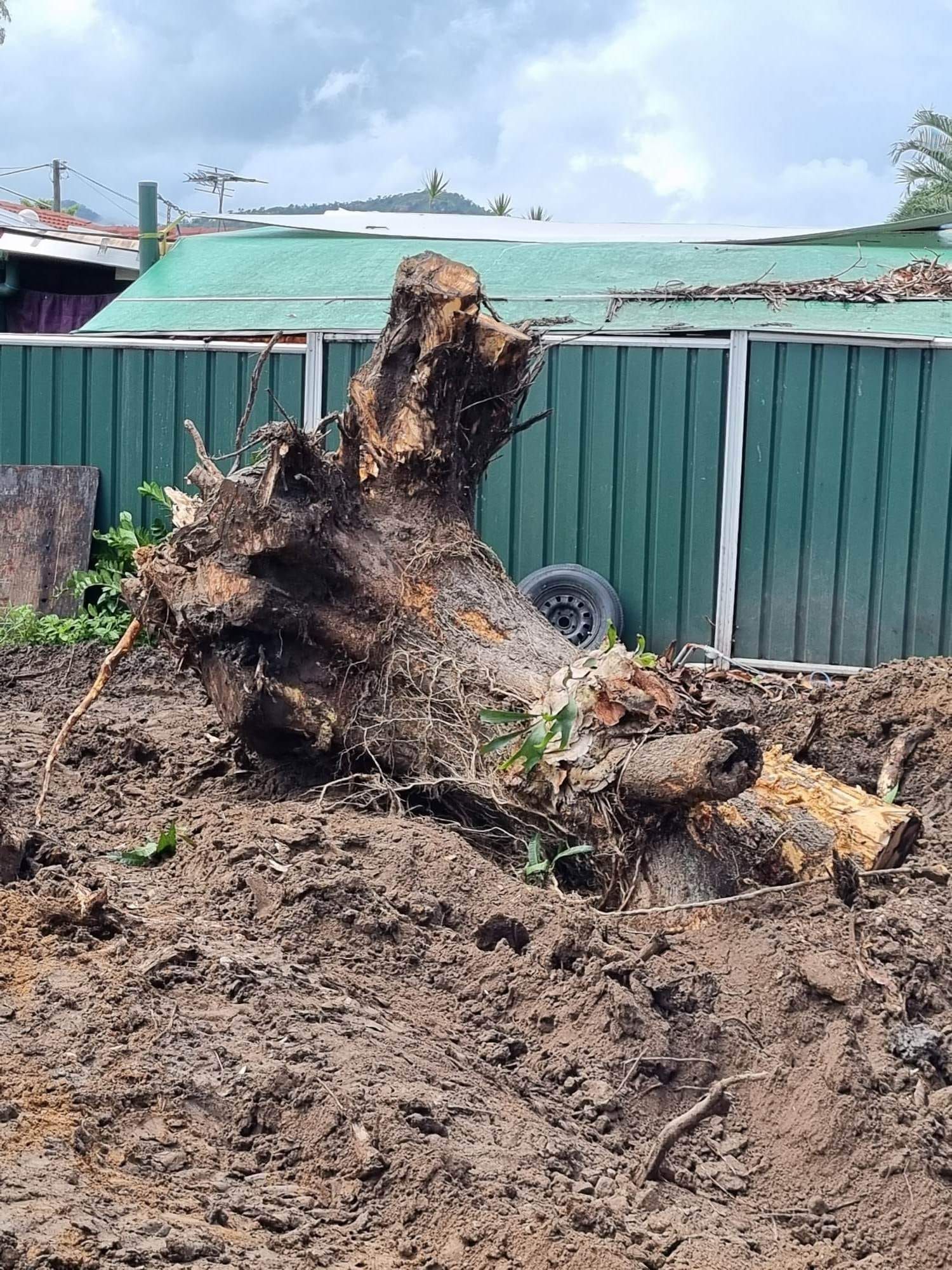 Uprooted Tree Stump in a Dirt Patch — AGM HIRE NQ in Condon, QLD