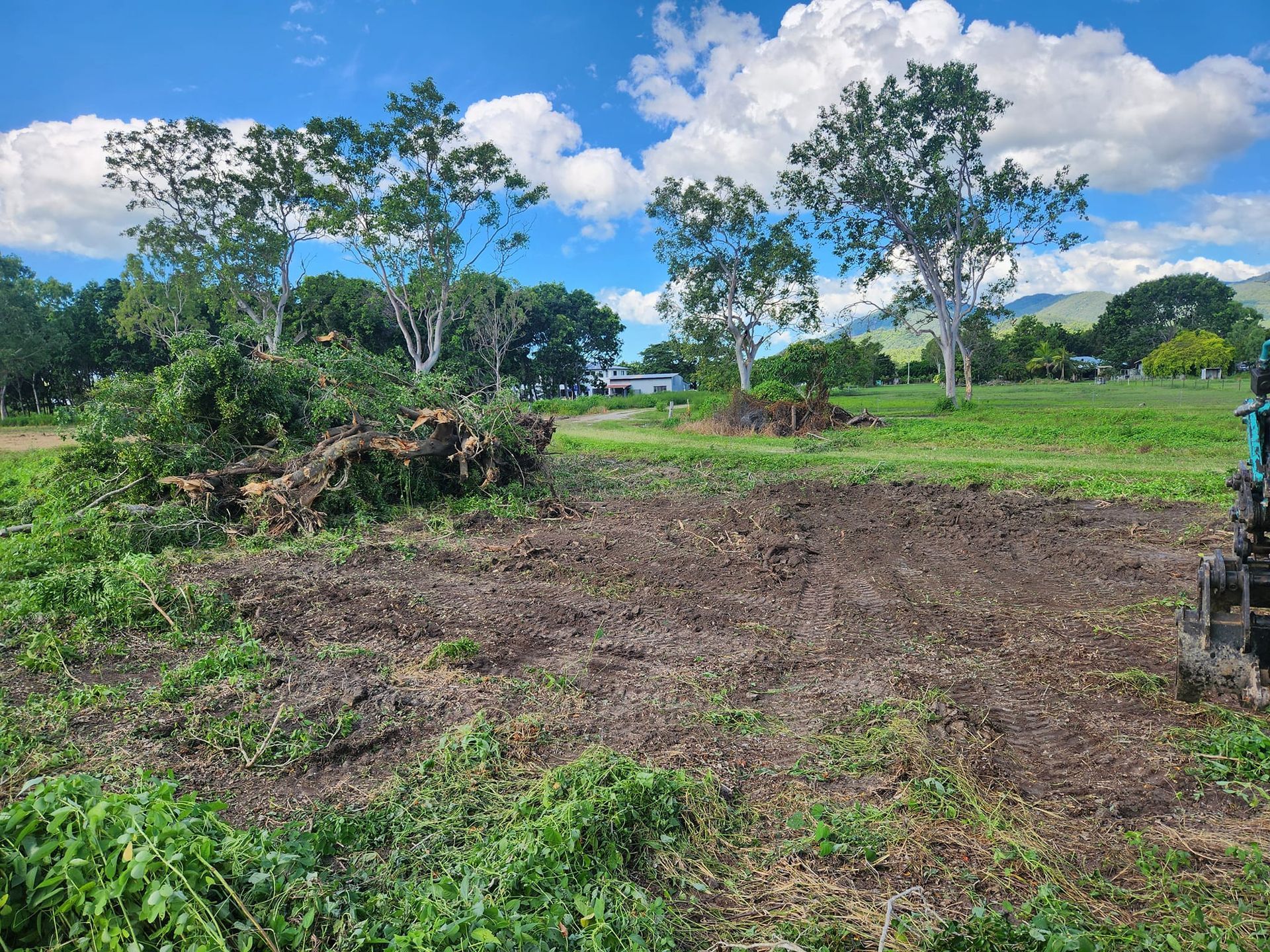 Clearing of Land: Tree Debris on the Ground — AGM HIRE NQ in Condon, QLD