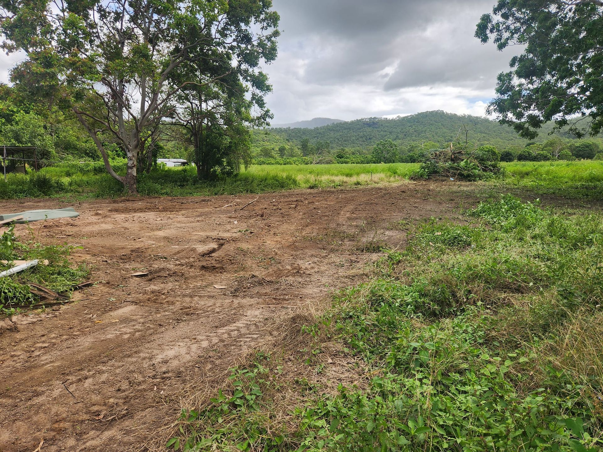 Dirt Field With Green Vegetation, Trees, and a Mountain — AGM HIRE NQ in Condon, QLD