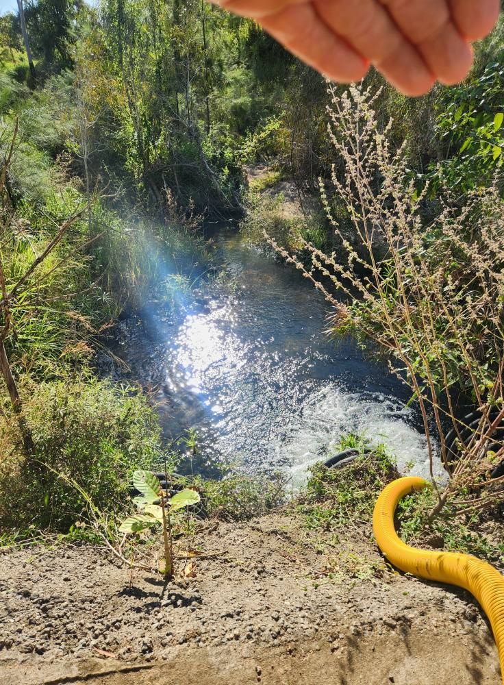 A Small Stream With Sunlight Reflecting on the Water — AGM HIRE NQ in Condon, QLD