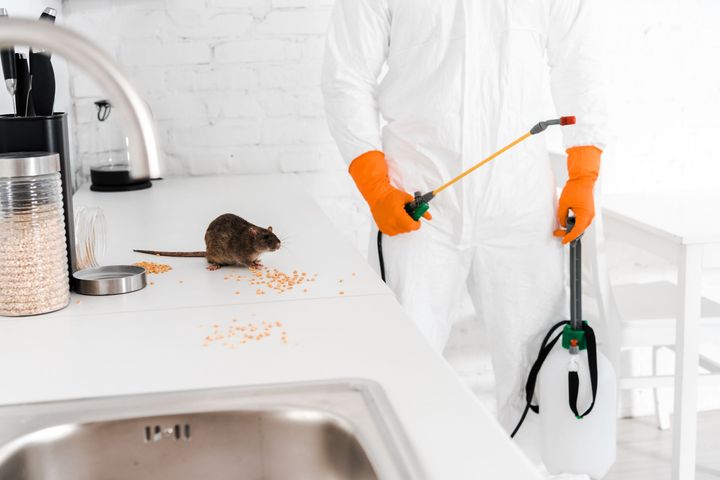 A man is spraying a rat with a sprayer in a kitchen.