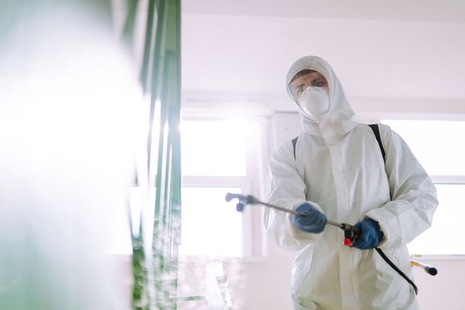 termite pest control by Monmouth 