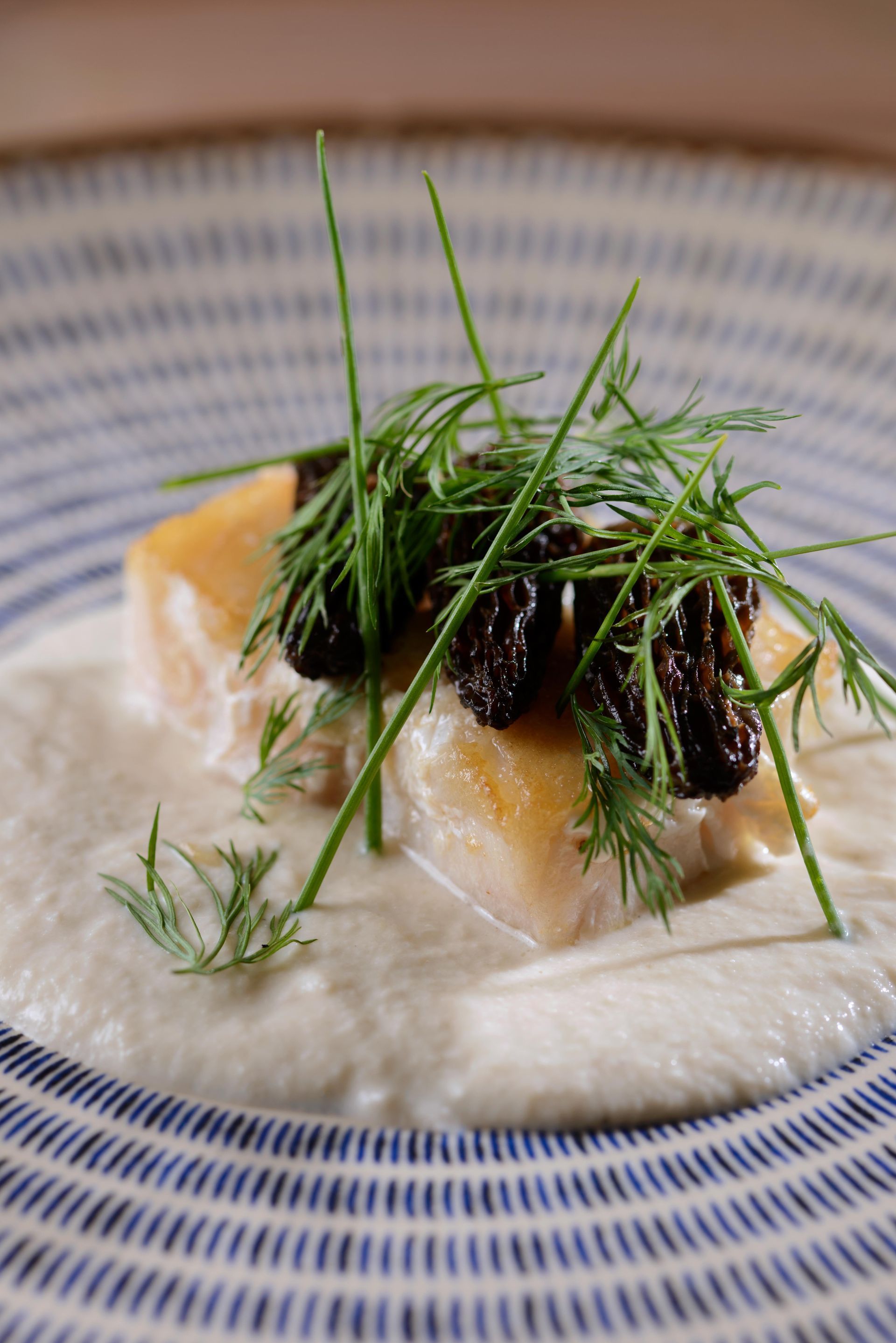 Um close de um prato de comida sobre uma mesa.