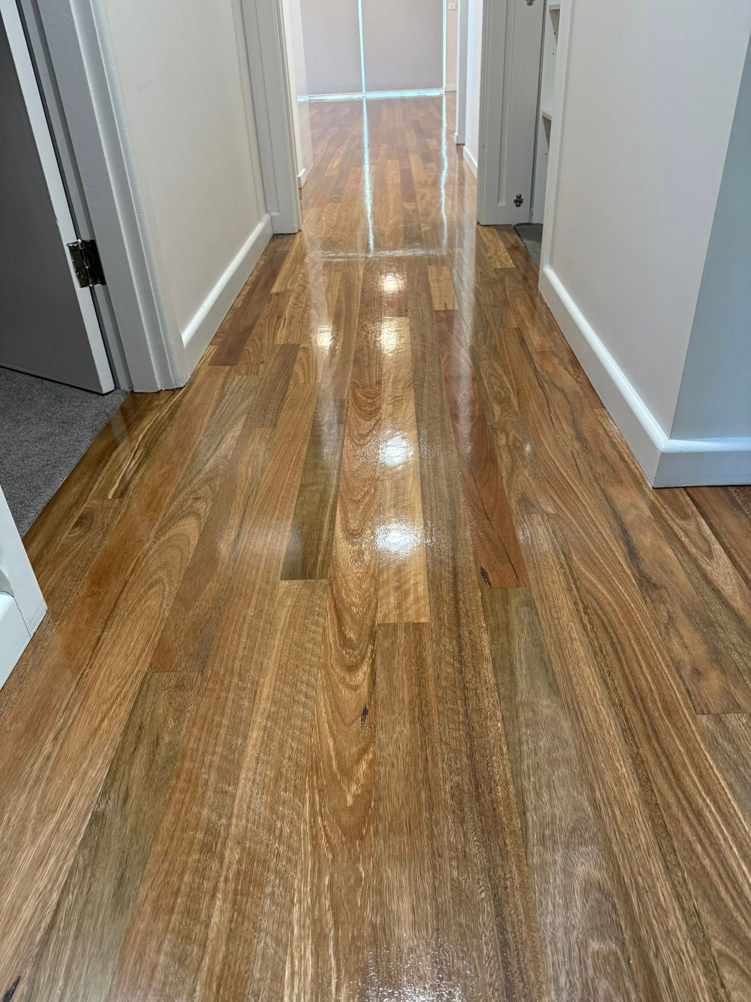 A Hallway With Polished, Light-brown Hardwood Flooring — Finer Floors In Warrane, TAS