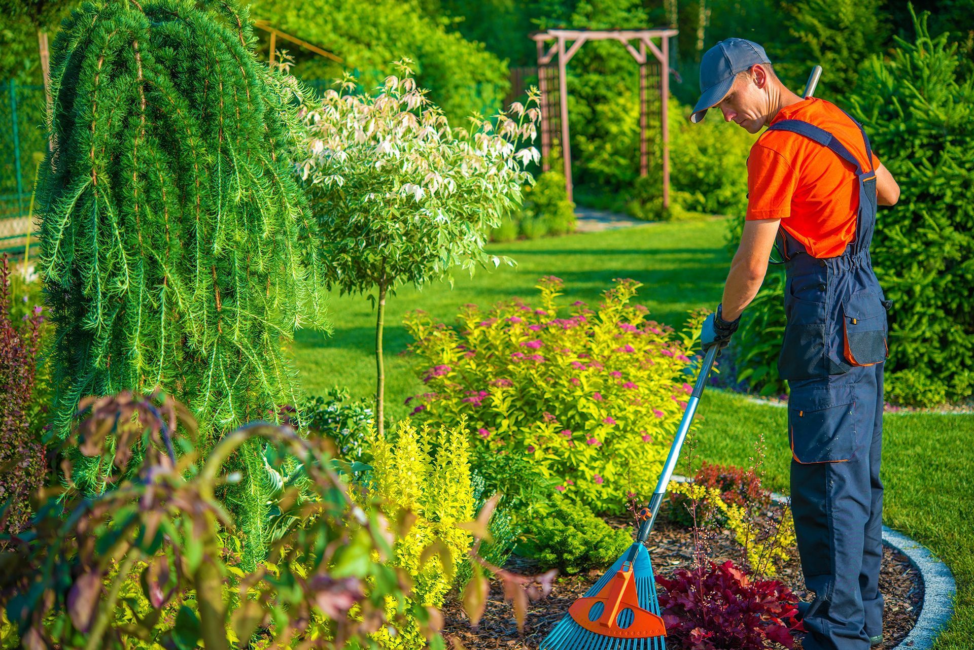 lawn care services in Oklahoma City, OK