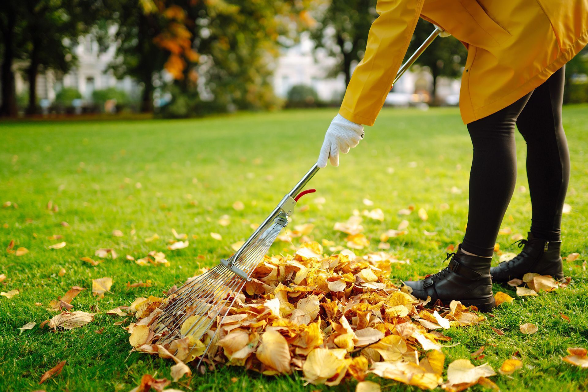 yard clean-up services in Oklahoma City, OK