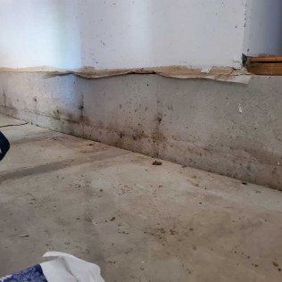 Concrete basement wall with peeling paint, showing signs of water damage and staining.