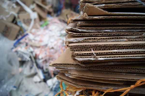 Recicladora La Joya S.A. cartón