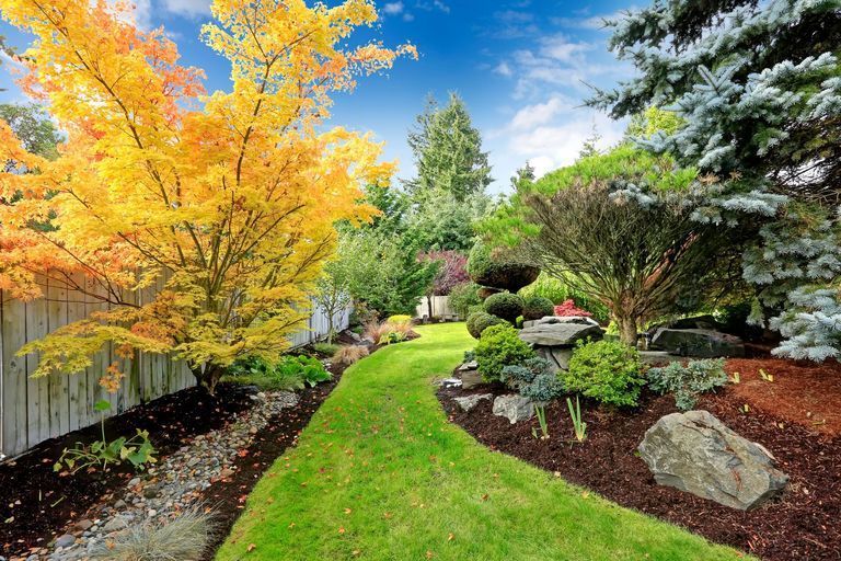 A beautiful backyard landscape design view of colorful trees and decorative trimmed bushes and rocks.