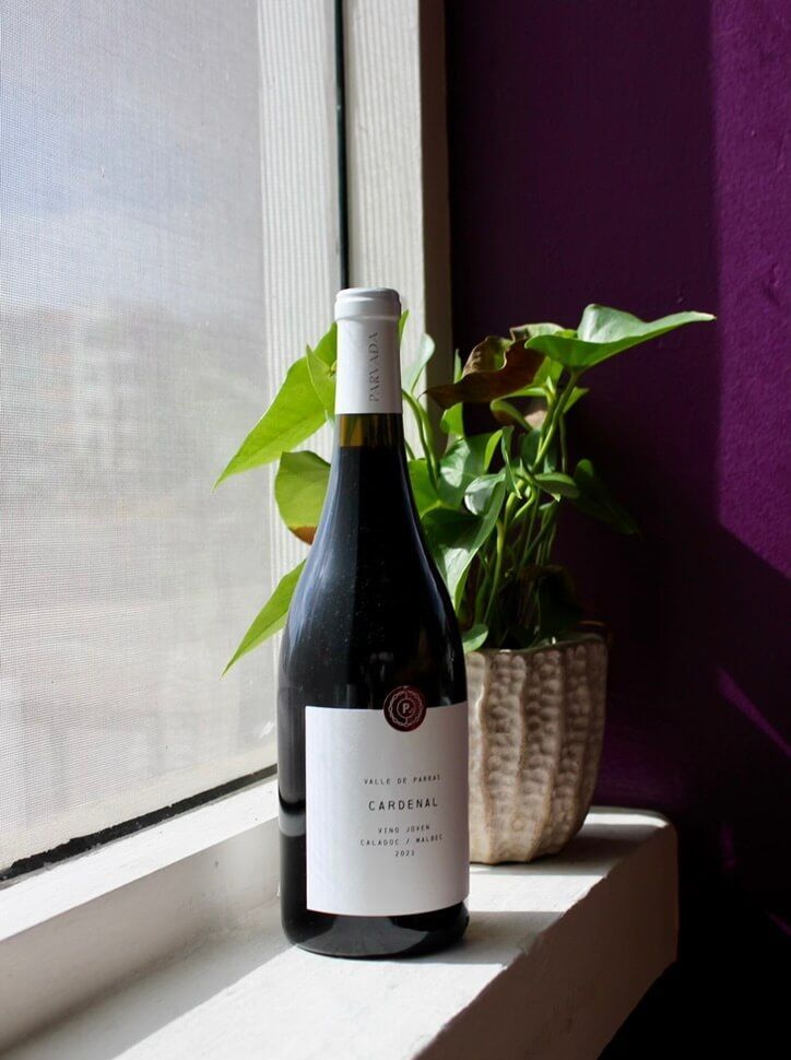 Parvada Wine and monsterra plant