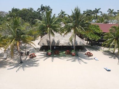 An aerial view of a thatched hut on a beach surrounded by palm trees