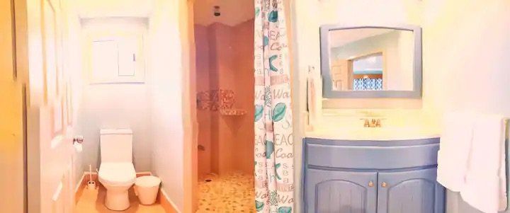 A bathroom with a toilet , sink , mirror and shower.