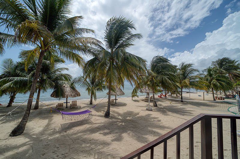 A view of a beach from a balcony with palm trees and a hammock.
