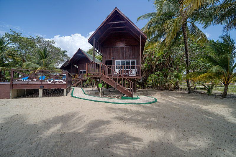 A wooden house is sitting on top of a sandy beach surrounded by palm trees.