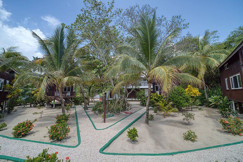 A group of houses surrounded by palm trees on a tropical island.