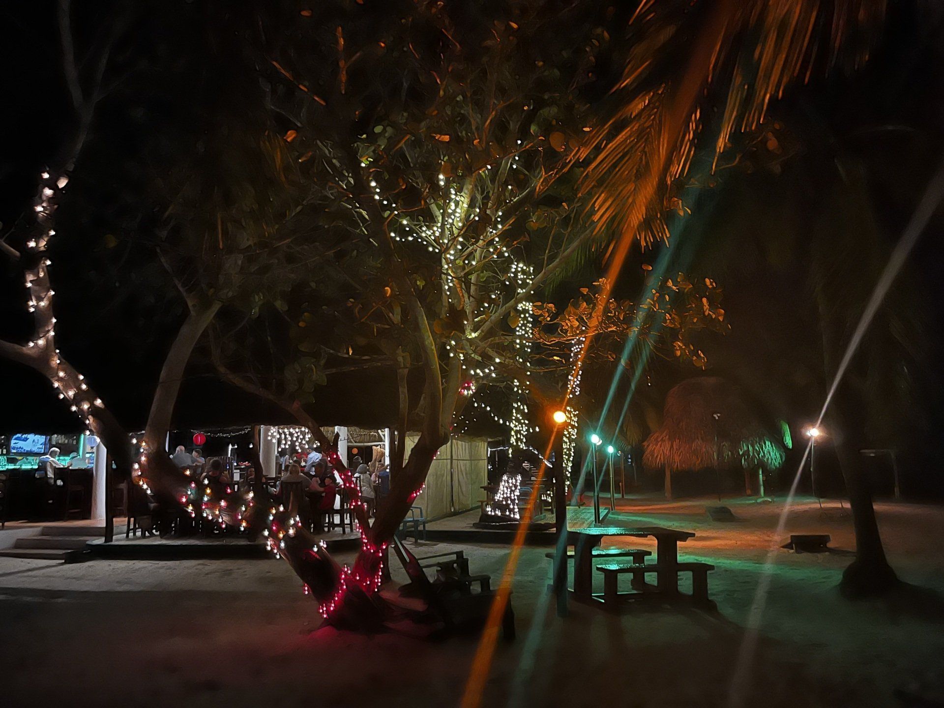 A tree with christmas lights on it is lit up at night