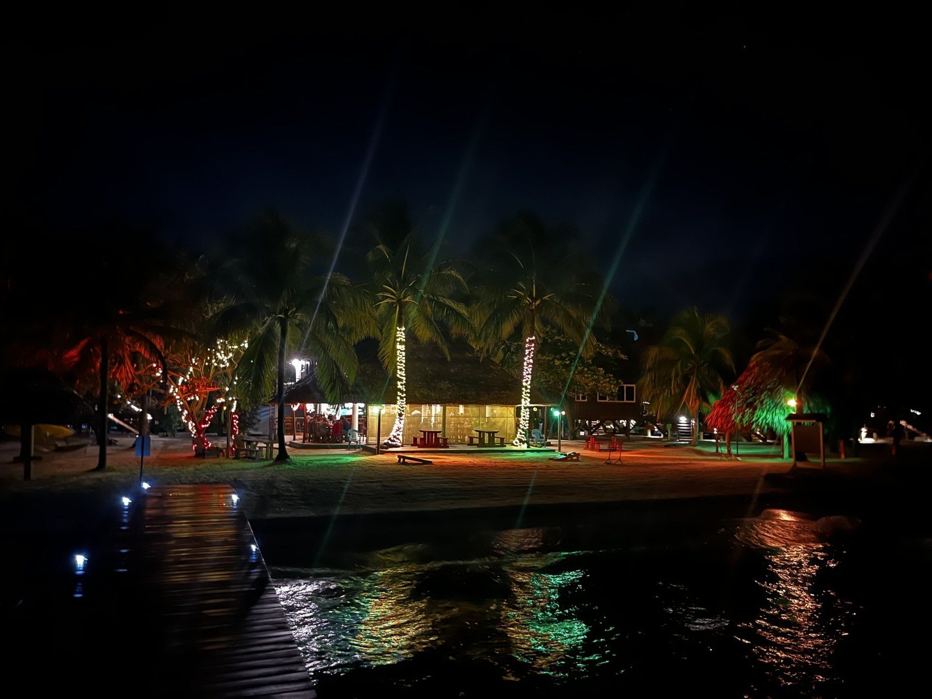 A beach at night with palm trees and a dock in the foreground.