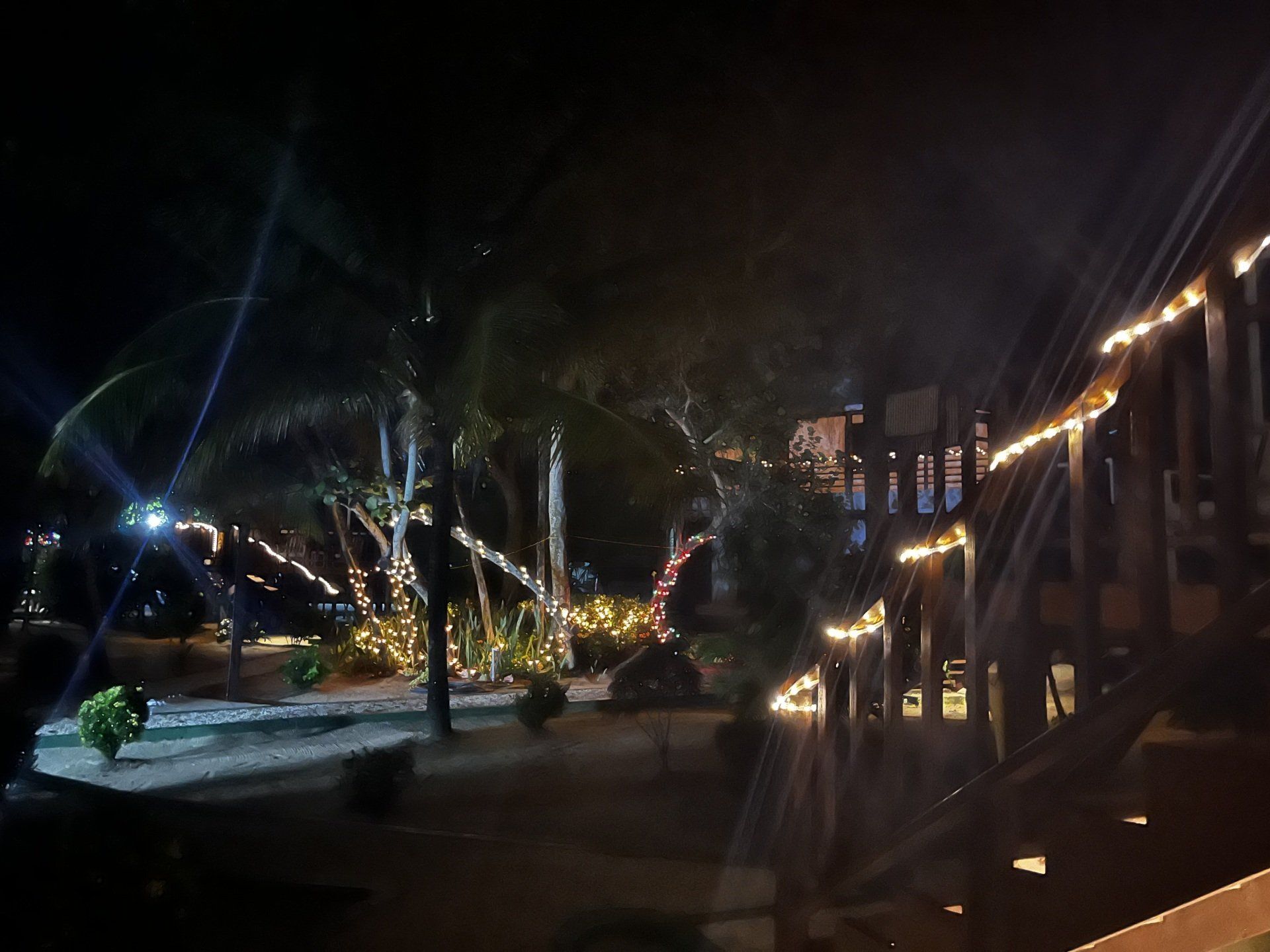 A bridge with christmas lights on it is lit up at night