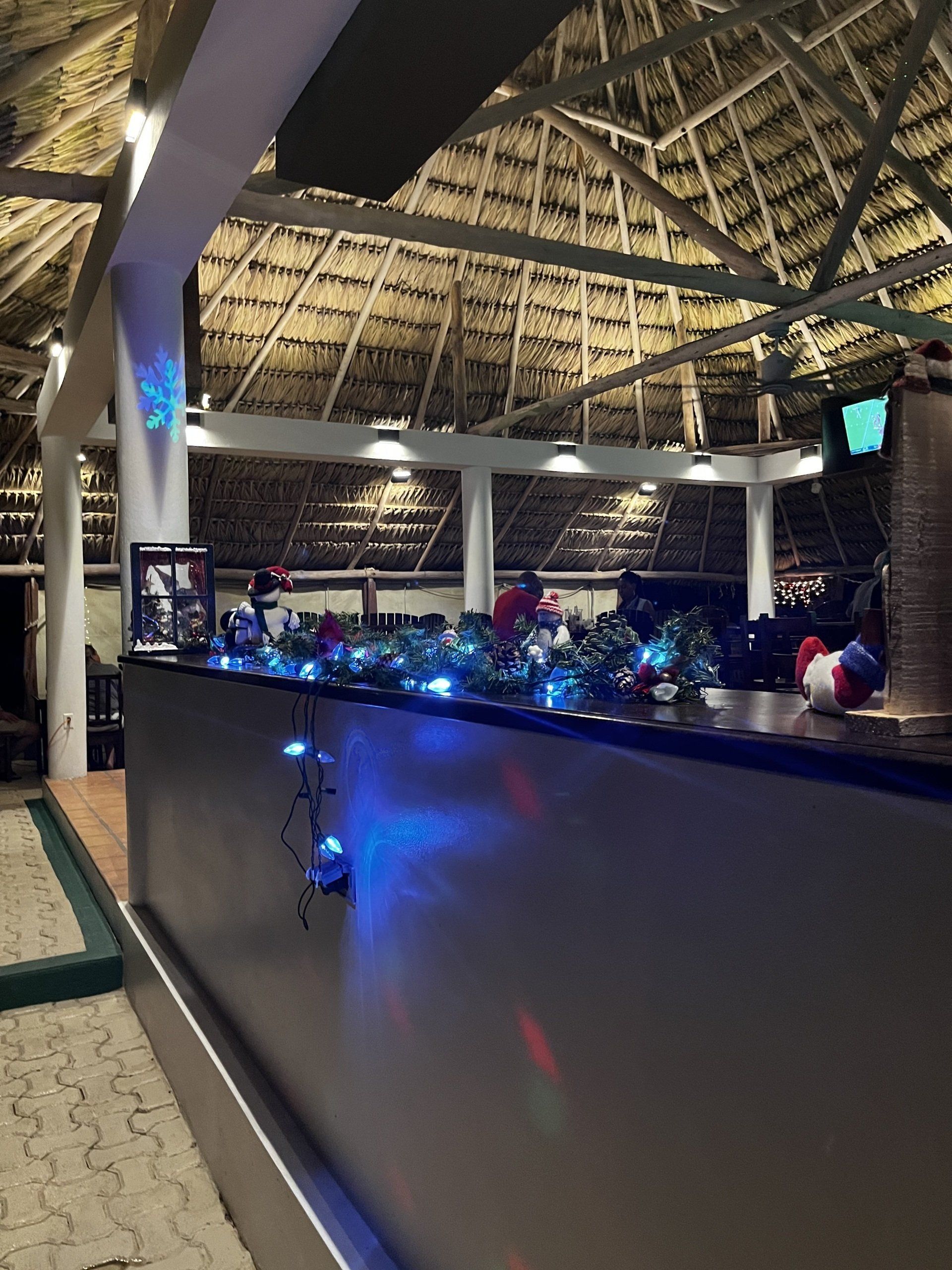 A bar with blue lights on it and a thatched roof