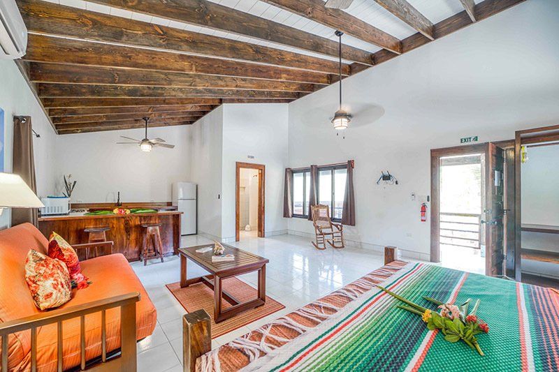 A living room with a couch , table , chairs and a bed.