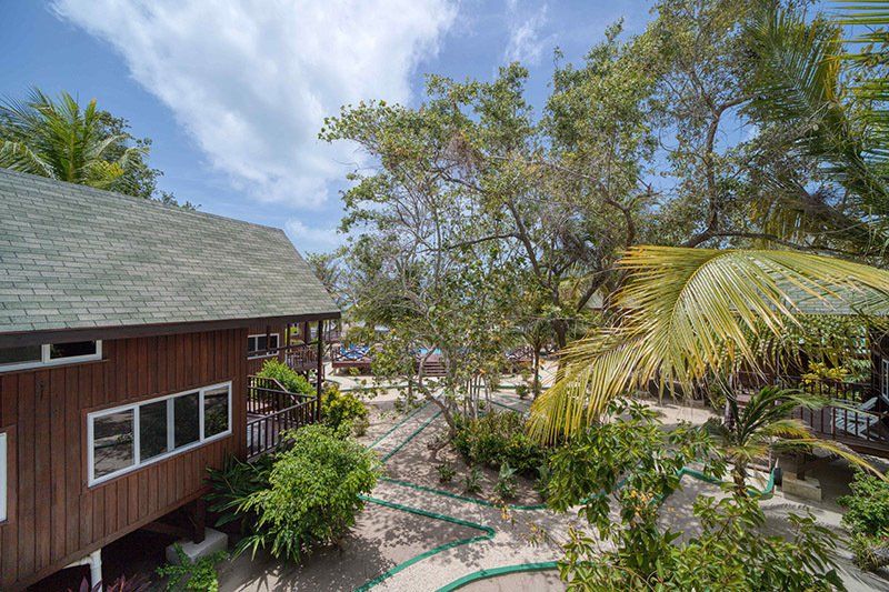 An aerial view of a wooden house surrounded by trees and bushes.