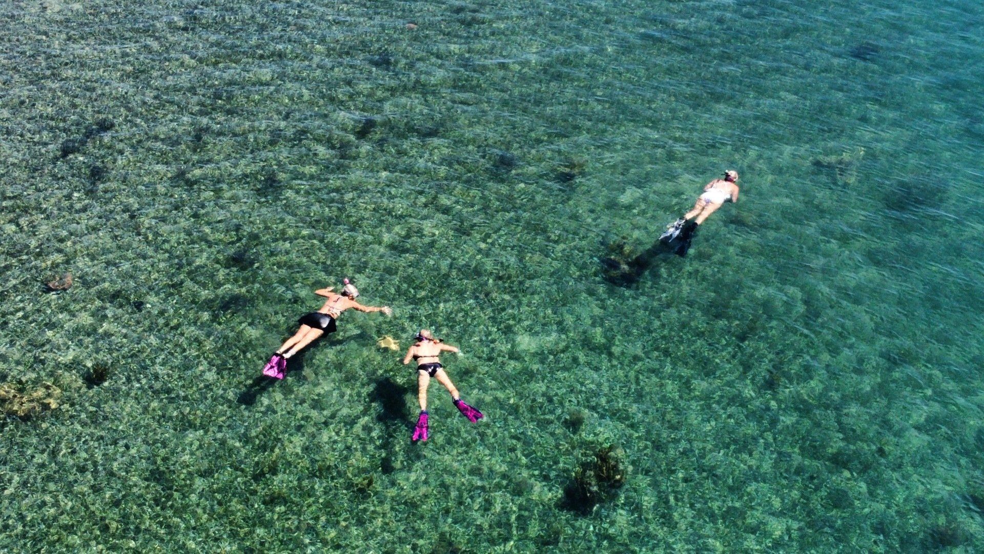 A group of people are swimming in the ocean.
