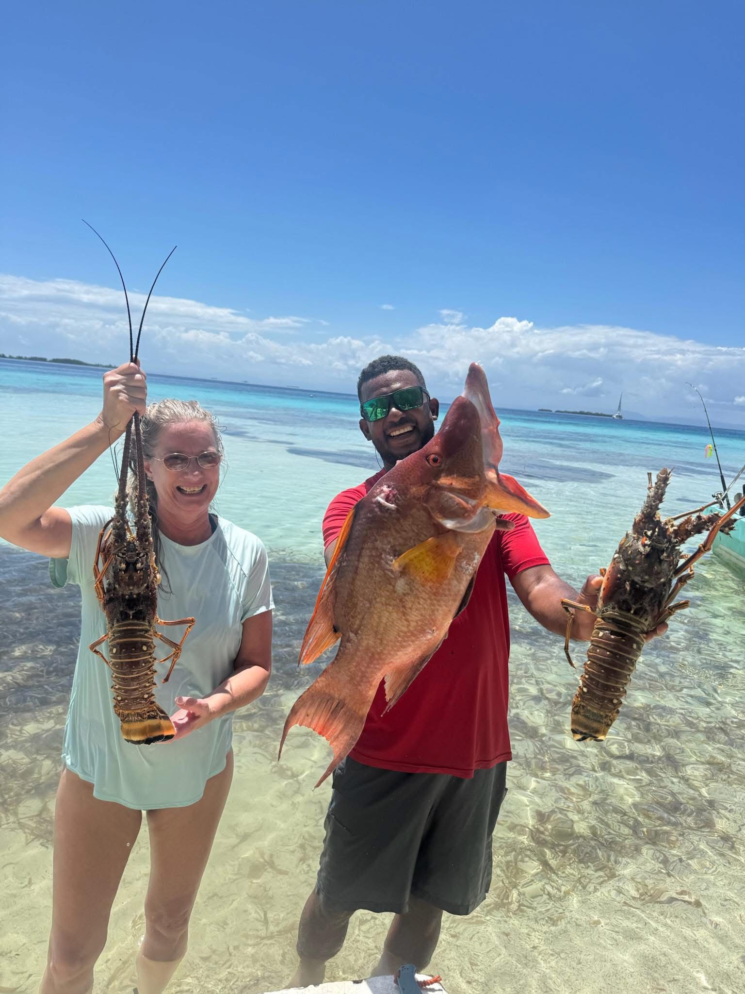 A dolphin is swimming in the ocean on a sunny day