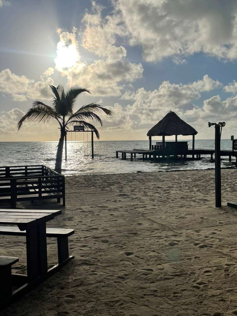 A group of houses surrounded by palm trees on a tropical island.