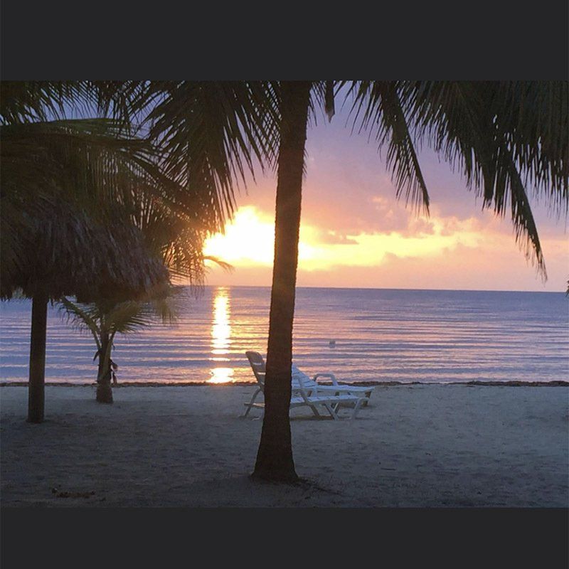 A sunset over the ocean with palm trees in the foreground