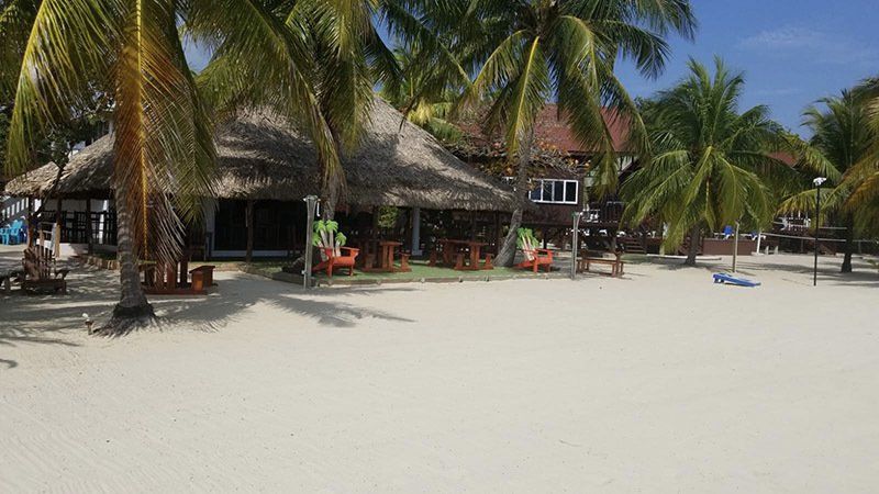 A tropical beach with palm trees and a thatched hut.
